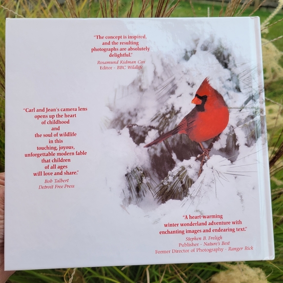 Stranger in the Woods: A Photographic Fantasy ~ Signed by Authors! - Picture 4 of 16